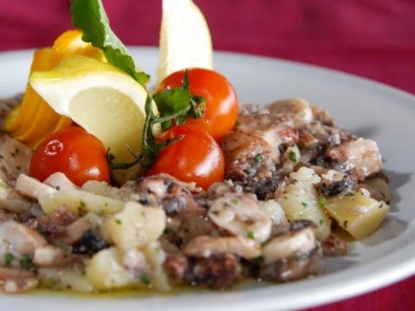 Octopus or muskardin salad